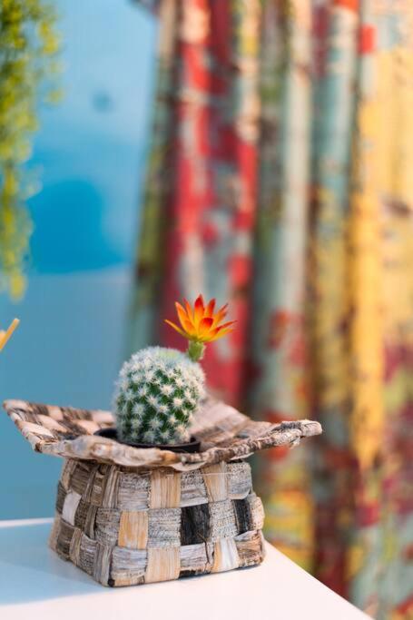 Le Finestre Sul Mare Apartment อัลบิสโซลามารินา ภายนอก รูปภาพ